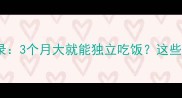 萨摩耶幼犬成长全记录3个月大就能独立吃饭这些关键期千万别错过