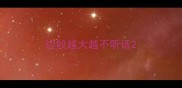边牧越大越不听话