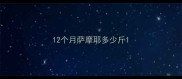 12个月萨摩耶多少斤