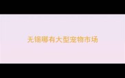 无锡哪有大型宠物市场