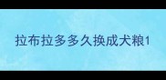 拉布拉多多久换成犬粮