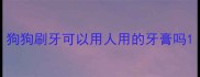 狗狗刷牙可以用人用的牙膏吗