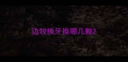 边牧换牙换哪几颗