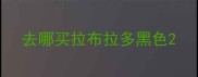 去哪买拉布拉多黑色