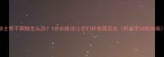 哈士奇不跟随怎么办3步训练法让它们秒变跟屁虫附科学训练指南