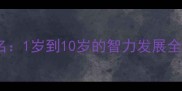 泰迪犬智商排名1岁到10岁的智力发展全科学养宠指南