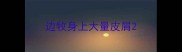 边牧身上大量皮屑
