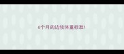 6个月的边牧体重标准