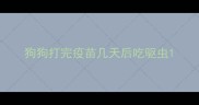 狗狗打完疫苗几天后吃驱虫