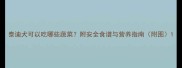 泰迪犬可以吃哪些蔬菜附安全食谱与营养指南附图