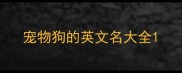 宠物狗的英文名大全