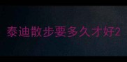 泰迪散步要多久才好
