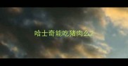哈士奇能吃猪肉么