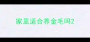 家里适合养金毛吗