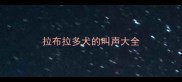 拉布拉多犬的叫声大全