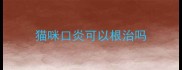 猫咪口炎可以根治吗