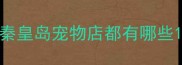 秦皇岛宠物店都有哪些