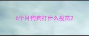 6个月狗狗打什么疫苗