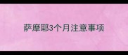 萨摩耶3个月注意事项