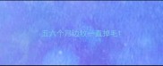 五六个月边牧一直掉毛