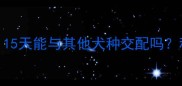 银狐配种最佳时机15天能与其他犬种交配吗科学指南与注意事项