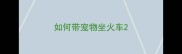 如何带宠物坐火车