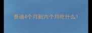泰迪4个月到六个月吃什么