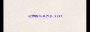 宠物医院寄养多少钱