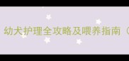哈士奇5个月大幼犬护理全攻略及喂养指南附成长对比图