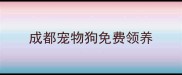 成都宠物狗免费领养