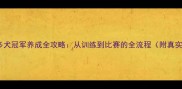 拉布拉多犬冠军养成全攻略从训练到比赛的全流程附真实案例