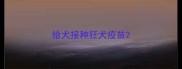 给犬接种狂犬疫苗