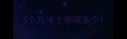 5个月哈士奇喂多少