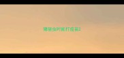 猪驱虫时能打疫苗