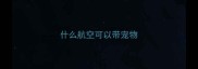 什么航空可以带宠物