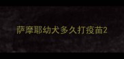 萨摩耶幼犬多久打疫苗