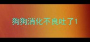 狗狗消化不良吐了