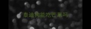 泰迪狗能吃芒果吗