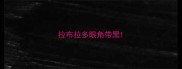 拉布拉多眼角带黑