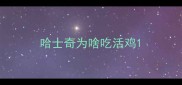 哈士奇为啥吃活鸡