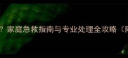 狗狗撞到头怎么办家庭急救指南与专业处理全攻略附症状自查清单