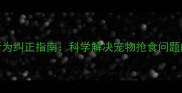 幼犬护食行为纠正指南科学解决宠物抢食问题的五步方案