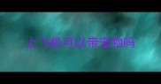 上飞机可以带宠物吗