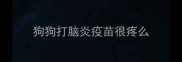 狗狗打脑炎疫苗很疼么
