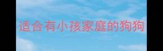 适合有小孩家庭的狗狗