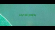 边牧生病注意事项