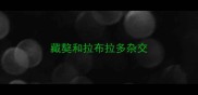 藏獒和拉布拉多杂交