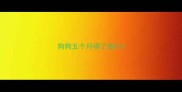 狗狗五个月得了细小