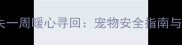 温州边牧走失一周暖心寻回宠物安全指南与救助全记录