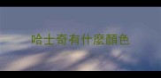 哈士奇有什麼顏色